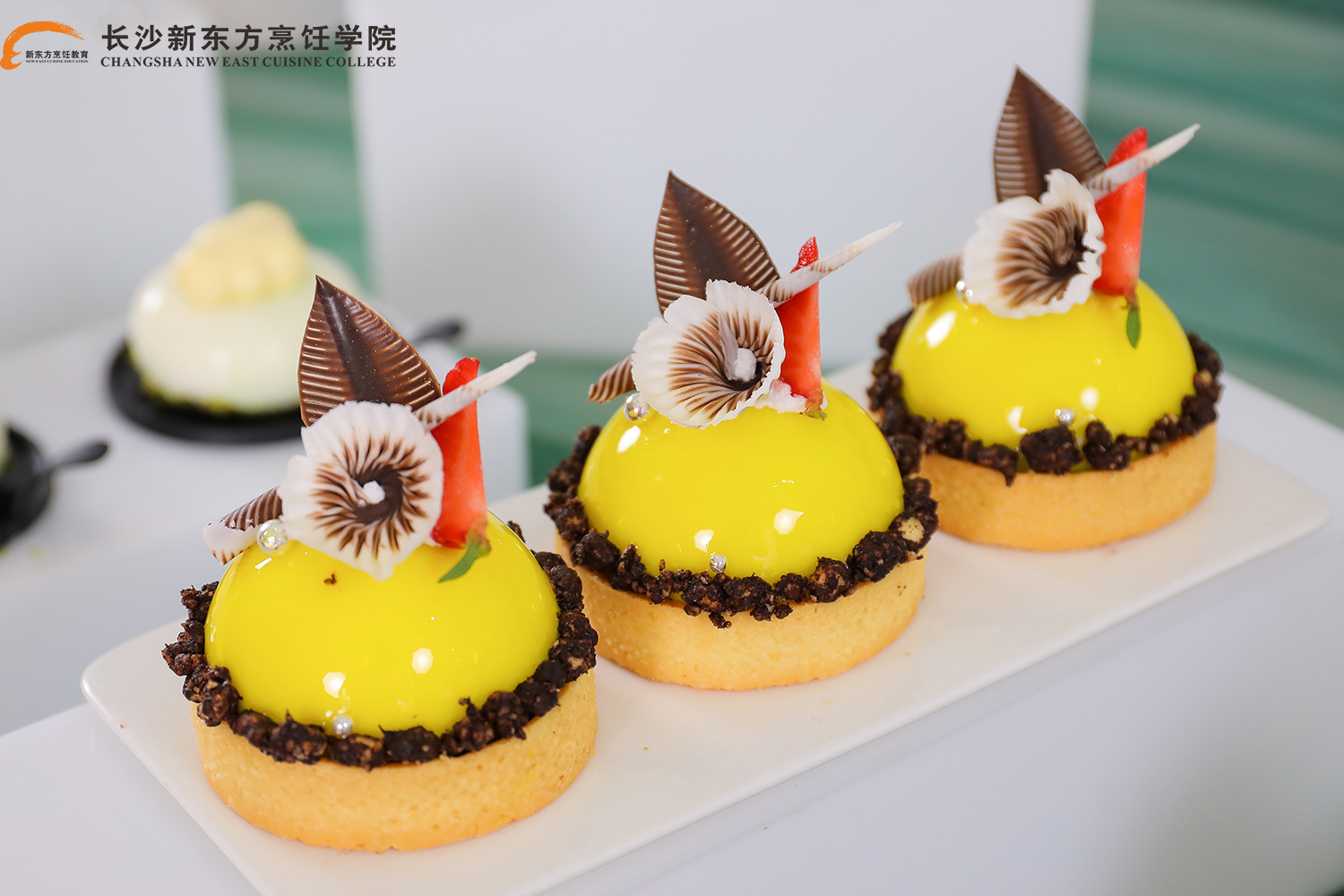 c(din)決